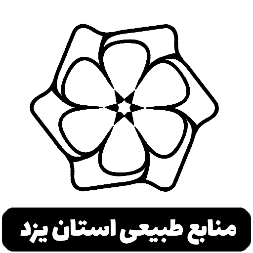 سازمان